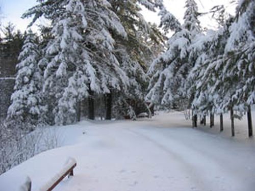 Joyeuses Fêtes et Bonne Année 2008