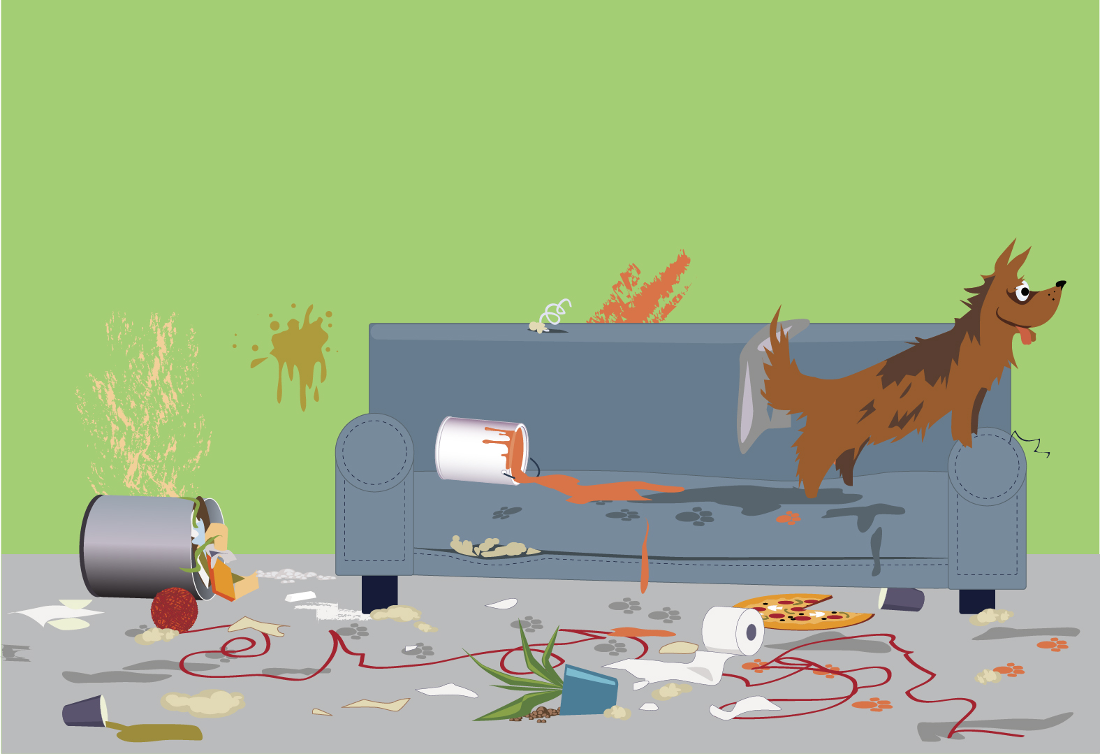 Nouvelle saisie d'animaux, logement insalubre