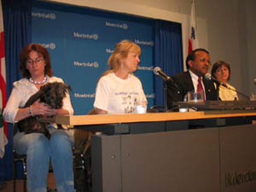 N'abandonnez pas vos animaux domestiques lors du déménagement