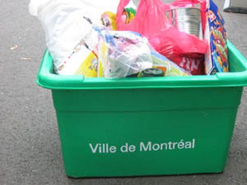 Choix écologique et financièrement intelligent, l'immobilier vert est la nouvelle norme