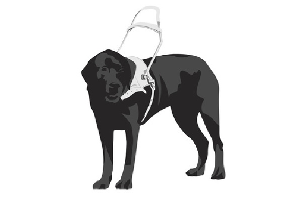 Qu’est-ce qu’un chien d’assistance ?