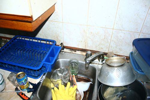 En guise de cadeau, le propriétaire reçoit un fouillis nauséabond