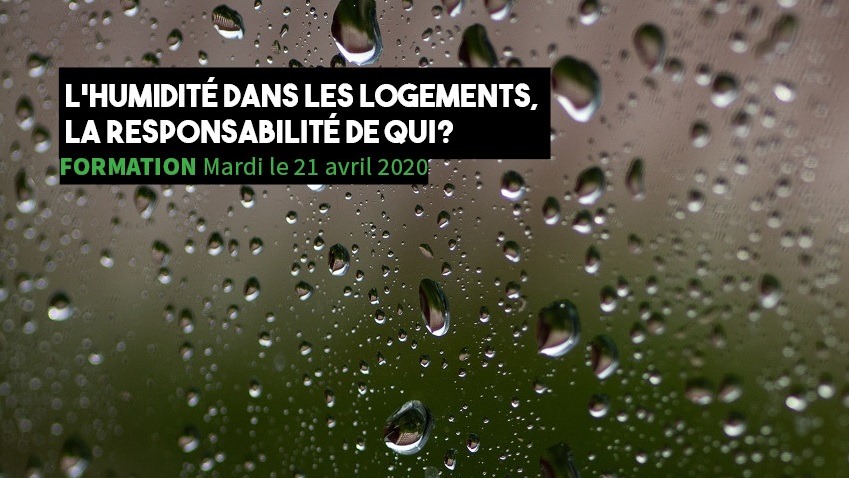 Formation APQ : 21 avril 2020 - L'humidité dans les logements, la responsabilité de qui?