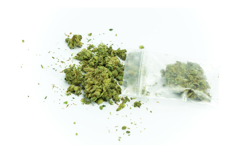 Distinction importante : avis de modification de bail normal et l'avis exceptionnel d'interdiction de fumer le cannabis autorisé par la loi