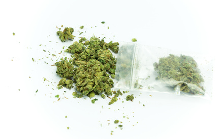 Le cannabis, vraiment l'horreur pour les propriétaires?