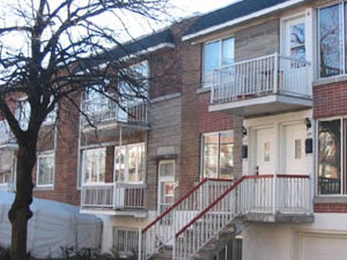 Acheteurs et rénovateurs de maisons prêts à se mettre au vert