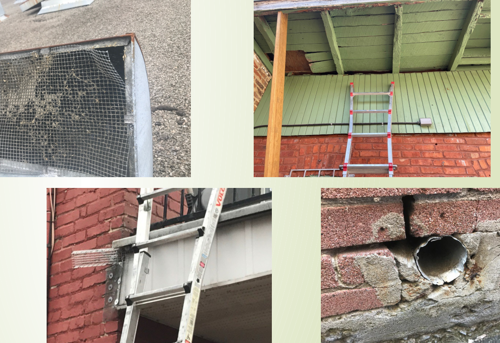 Prévention en gestion parasitaire 