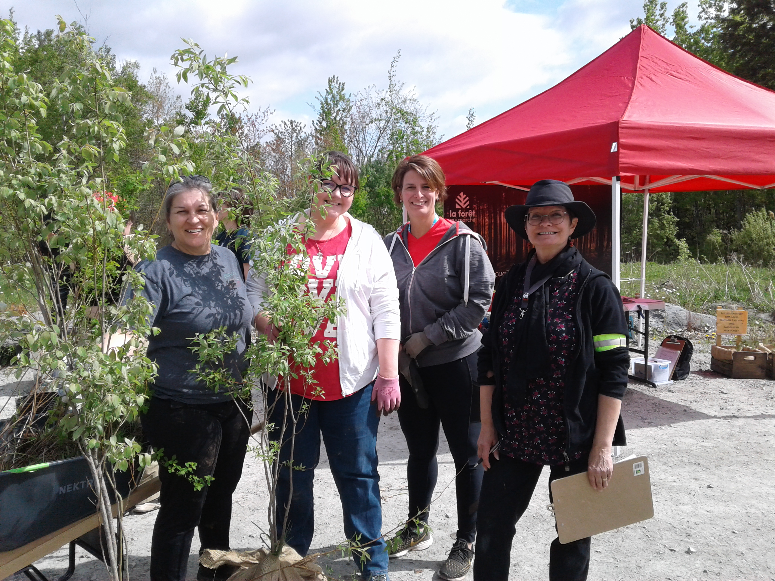 La forêt qui marche, pour se réconcilier avec le déboisement nécessaire